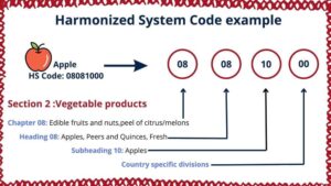 Example of HS code for customs