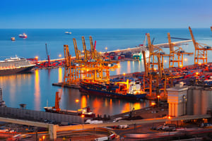 Container ships facing delays at major US ports due to 2025 tariff reforms disrupting global freight markets