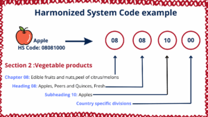 Harmonized System Code for customs clearance